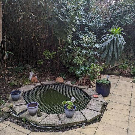 The Garden Apartment St Ives Екстериор снимка