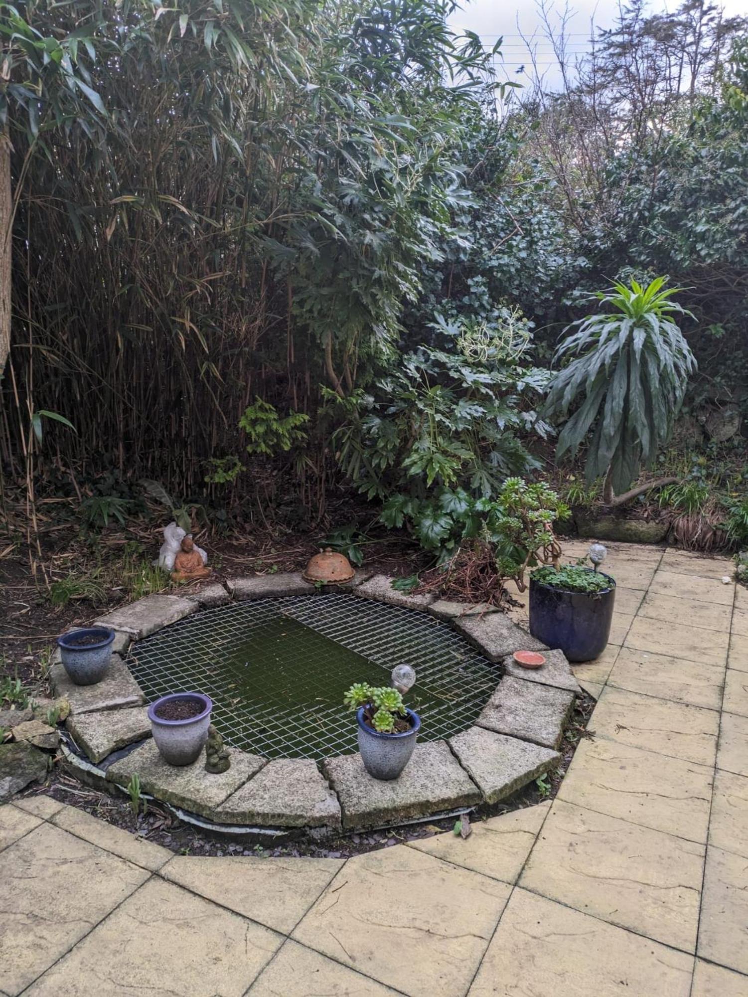 The Garden Apartment St Ives Екстериор снимка